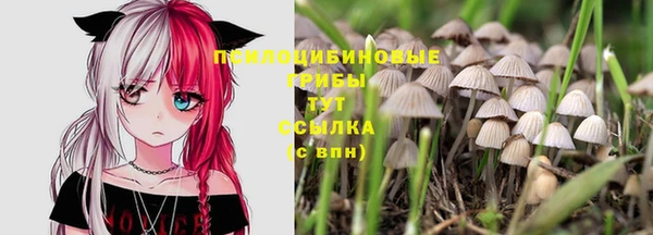 бутират Балабаново